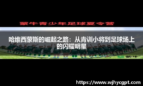 金年会